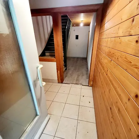 Black Forest Style 2-room-apartment Тодтнау
