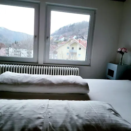 Black Forest Style 2-room-apartment Тодтнау