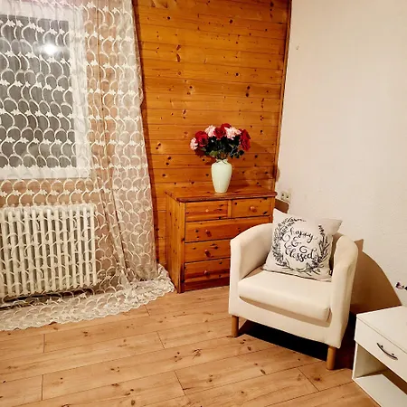 Апартаменты Black Forest Style 2-room-apartment *