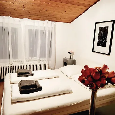 Black Forest Style 2-room-apartment